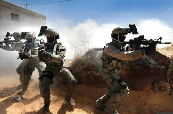 Israel has established a new specialized strike force to kill 2,500 Hamas fighters ?